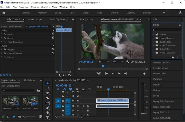 Adobe Premiere Pro (2025) (x64) Full Español